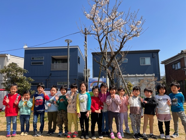 桜の開花と共に…