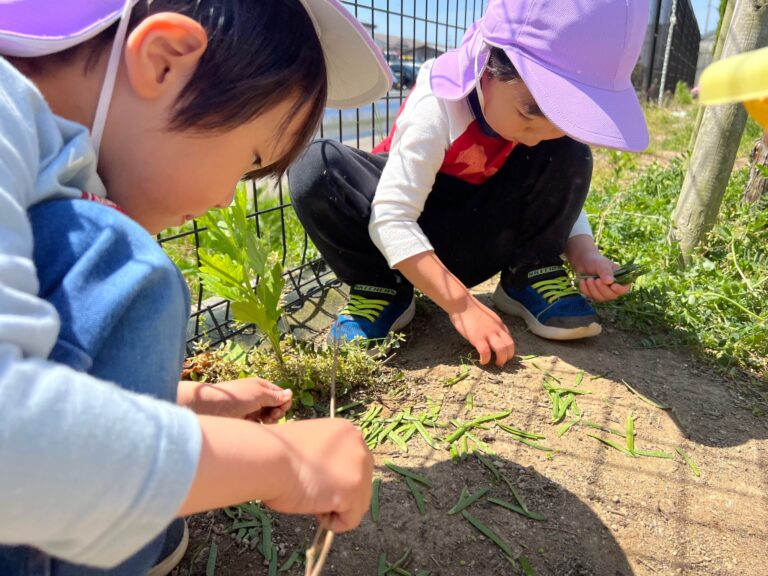 この野菜に決～めた！！（野菜決め編）ゆき組3歳児