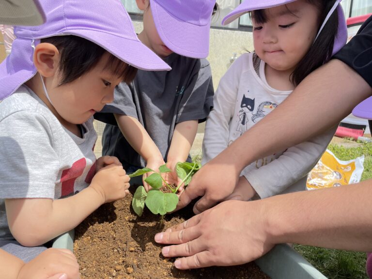 大きくなぁれ！（野菜苗植え編）ゆき組