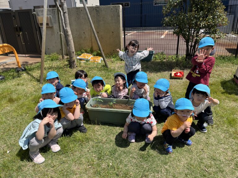 ミニトマト大きくな〜れ🍅（3歳児ゆき組）