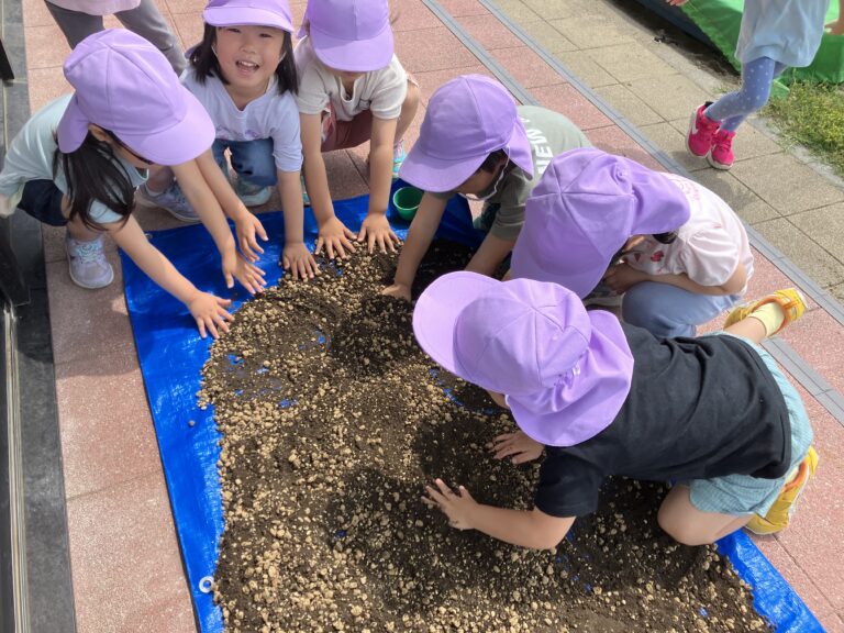 自然に触れ合おう🍀（４歳児そら組）