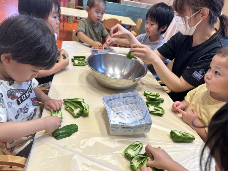 食育活動〜ピーマンの種取り🫑〜（2歳児かぜ組）