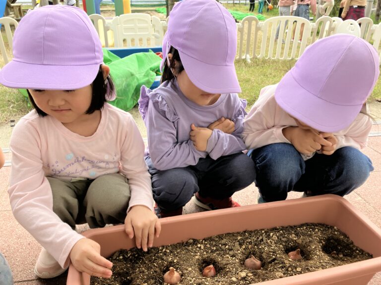 チューリップを植えました🌷（４歳児そら組）